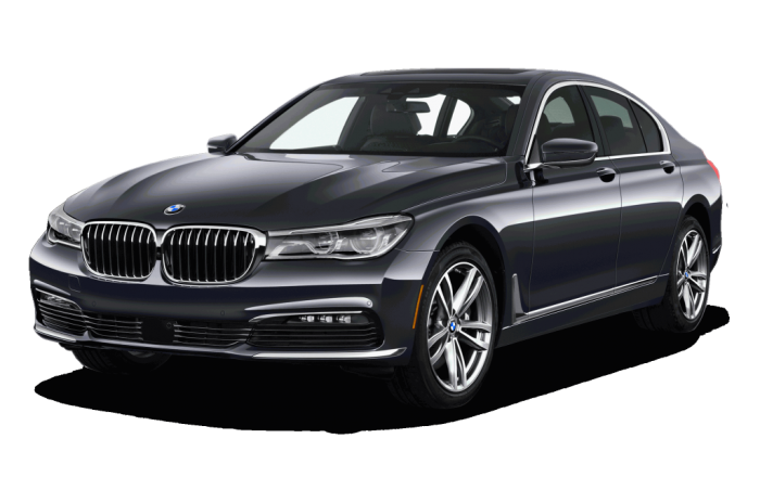 Автомобильные коврики BMW 7 VI (G11) (2015 - 2019)
